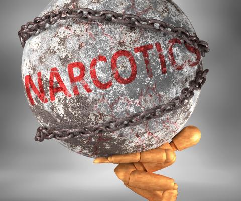 Narcotics bust