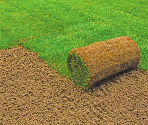Texas A&amp;M AgriLife Extension Service’s Healthy Lawns and Healthy Waters Program will host a residential rainwater harvesting and turf management training on June 10. CONTRIBUTED PHOTO