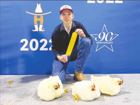 John Demny secured a sale spot with his market broilers (cockerels) March 10 and finished 88th in the auction over the weekend at the Houston Livestock Show and Rodeo. CONTRIBUTED PHOTO