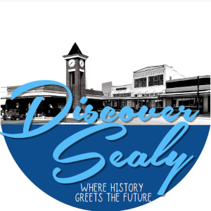 Discover Sealy