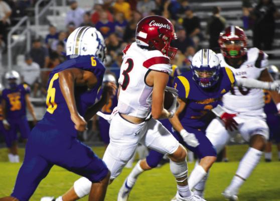 Three Cougars named to THSCA state teams