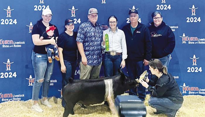 Sealy FFA shines at HLS&R