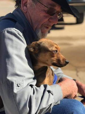 Sealy Police Department’s former Animal Control Officer Gary Kollatschny was honored as the namesake of the new animal control facility in Sealy during the March 1 council meeting. CONTRIBUTED PHOTO