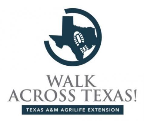 Walk Across Texas week 4 report