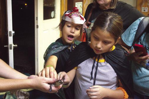 Stephen F. Austin hosts Fall Forest Festival