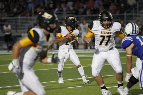 Sealy junior quarterback D'vonne Hmielewski drops back to pass with blood on his hand during the Tigers' non-district game against Navasota on the road Sept. 3. MATT YBARRA/NAVASOTA EXAMINER