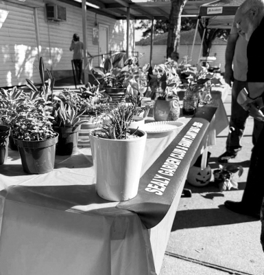 GARDEN CLUB HOSTS ANNUAL PLANT SALE