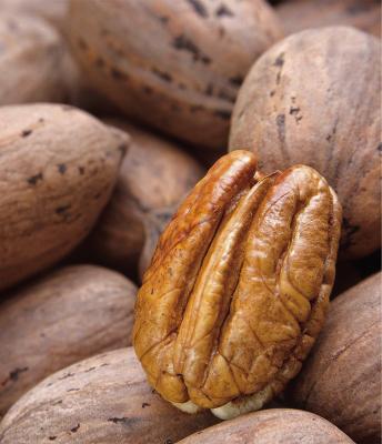 County crowns Pecan show champs