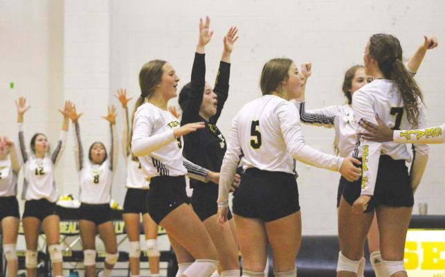 The Sealy Lady Tigers celebrate a block from senior Katie Wagoner (7) during the first match of the season against Paetow at home Aug. 10. COLE McNANNA