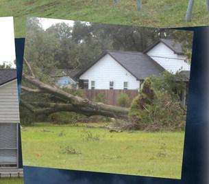 The fencing along Selman Elementary was torn down by the winds of tropical storm Beryl. The storm made landfall on the Texas coast Sunday morning and made its way through the Sealy area leaving a patch of knocked down trees throughout the city. Photos by Jimmy Galvan