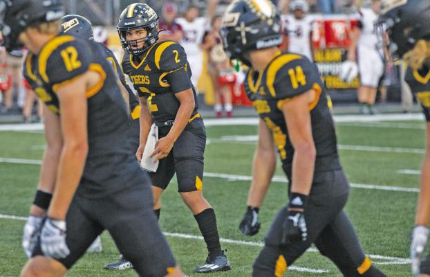 TIGERS COLLECT HONORS