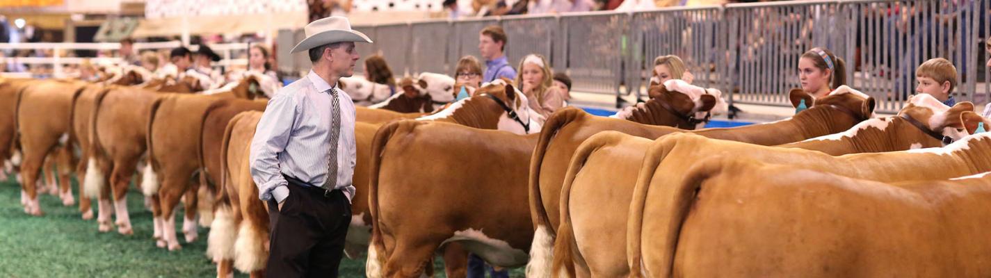 American Red Cross urges safety first at Houston Livestock Show and Rodeo this year.