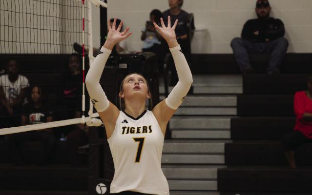 Sealy freshman Lauren Luther has been a key part of the Sealy volleyball team which clinched a playoff berth. The Lady Tigers are undefeated in district play this year.