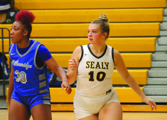 Hailey Svoboda checks into the game for the Lady Tigers.