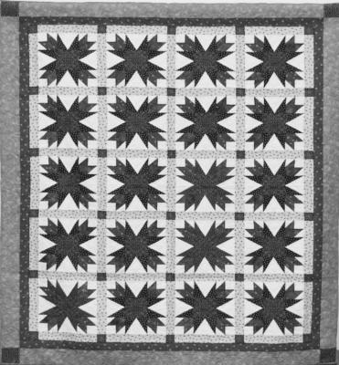 Patriotic Homestead Star. Quiltmaker(s) and Credit: Pieced by Debra Kollman of New Ulm, Texas. Machine Quilted by Sharon Heimann of New Ulm, Texas. Pattern: Jodi Barrows. CONTRIBUTED PHOTOS