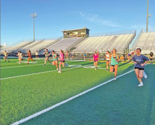 Tigers volleyball back in motion