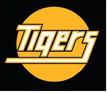 Sealy ISD opens football season ticket renewals