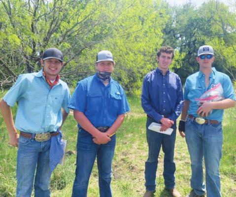 FFA earns wins at area championship