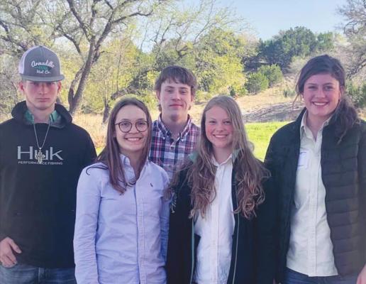 FFA earns wins at area championship