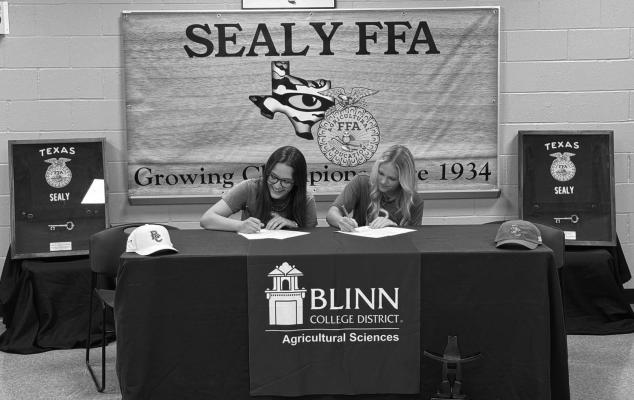 Gilfoil, Schram sign on with Blinn