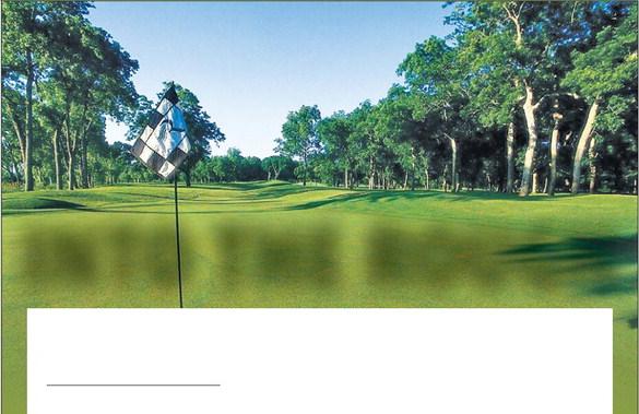 INTO THE ROUGH