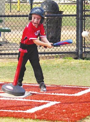 Muckdogs and Hot Rods and Tigers, oh my!