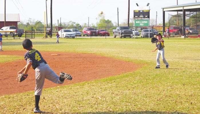 Muckdogs and Hot Rods and Tigers, oh my!
