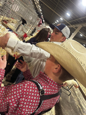 McNeelys shine at HLSR