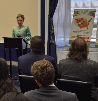 Linda Pryor, a farmer from North Carolina, outlines the risks to domestic food production without permanent reform to the Adverse Effect Wage Rate