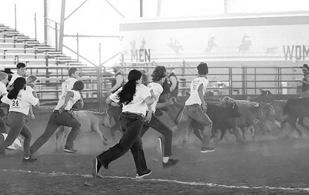 The Houston Livestock Show and Rodeo recently awarded three Bellville participants among 275 Texas 4-H and FFA students after competing in the calf scramble and livestock judging events. CONTRIBUTED PHOTO