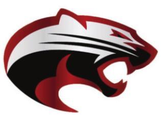 Brazos Cougarettes take third at district