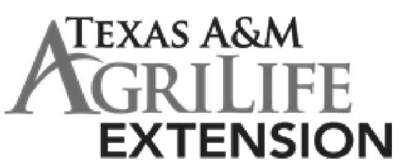 Continuing Education Units conference Friday