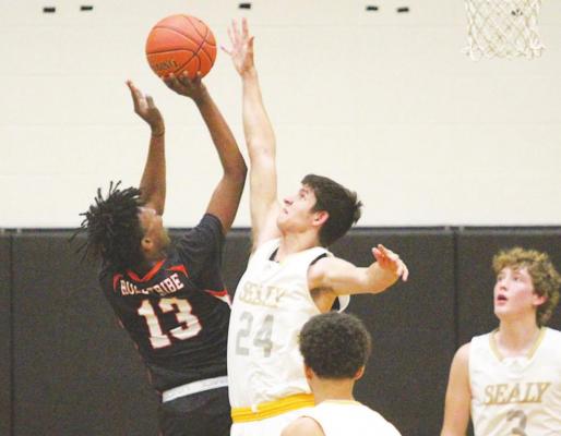 Sealy Tigers finish non-district