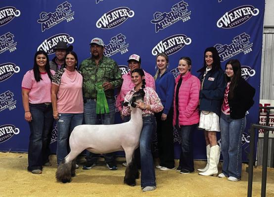 Austin County 4H – hanging up halters and hanging up banners