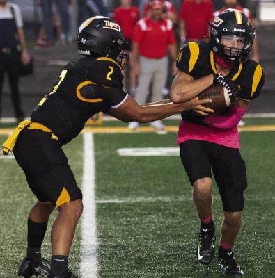 Sealy senior Hayden Wernecke starred on football, baseball and track for the Tigers this year. PHOTOS BY JIMMY GALVAN