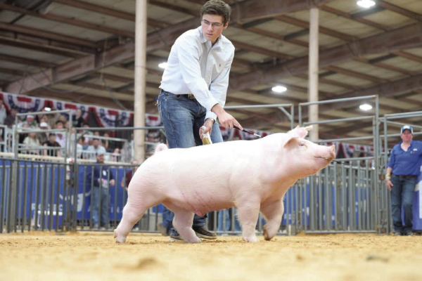 Banner day at Austin Rodeo