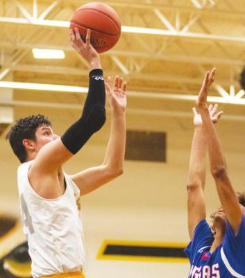 Tigers fall in finale