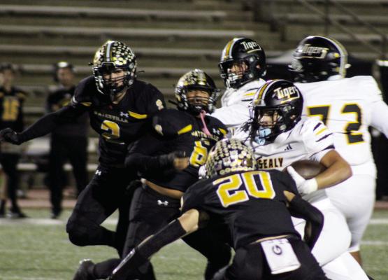 Sealy’s Romeo Castillo breaks through the Gatesville defense for a nice gain during last week’s victory. Sealy’s offense has been in high gear in recent weeks and has led the Tigers to this nice run in the Class 4A playoffs. PHOTO BY WILSON CHANEY