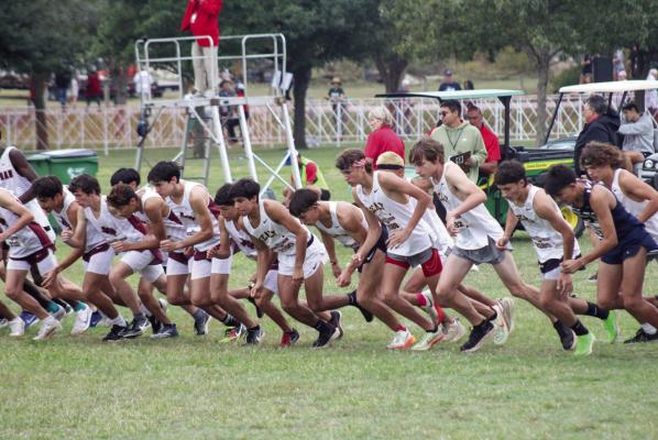 Sealy proves themselves at State