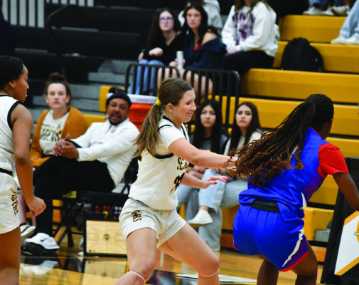 Hailey Svoboda reaches inside looking to poke the ball free for a steal. COURTESY PHOTO