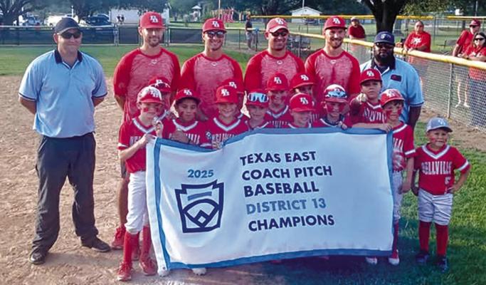 Bellville 8u All-Star baseball team wins championship