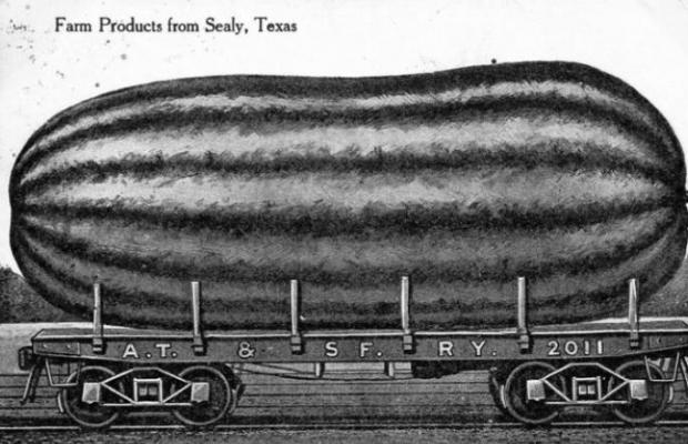Sealy Area Historical Society News from Yesteryear