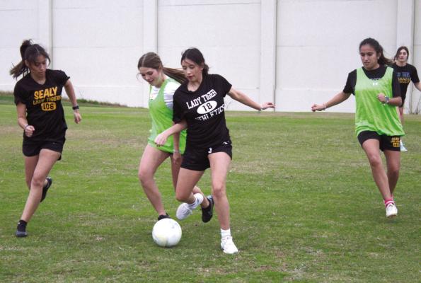 Lady Tigers motivated to top last season