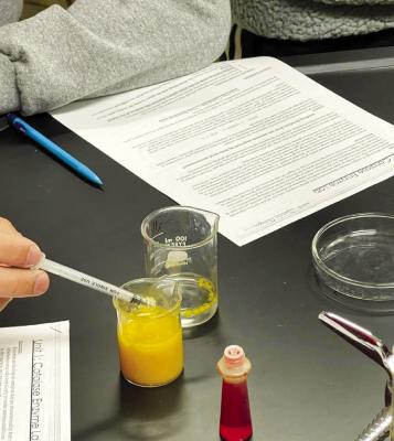 Conducting catalase enzymes