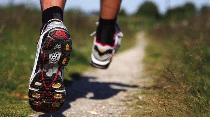 FA harriers host annual meet