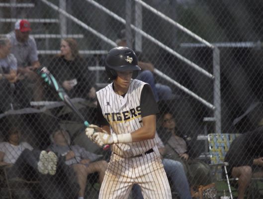 Parker Vesley settled into the batter’s box waiting for the pitch.