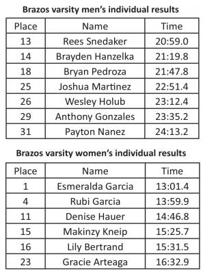 Cougar runners regional-bound