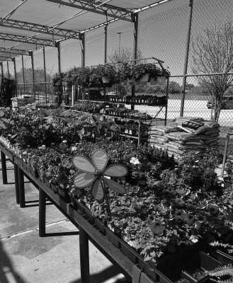WALMART OPENS GARDEN CENTER