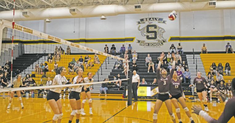Lady Tigers handle business