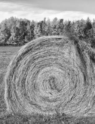 County seeking hay samples for annual show